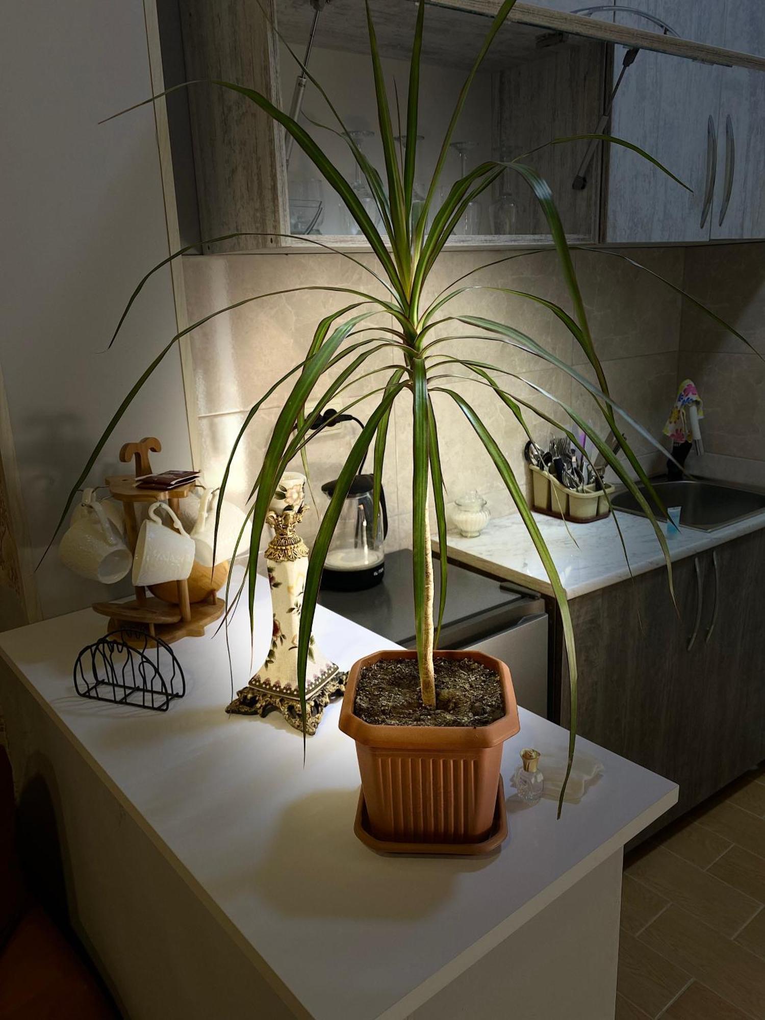 Anna'S Home Kutaisi Zewnętrze zdjęcie